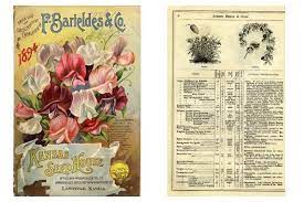 Seed Nursery Catalogs For Gardeners