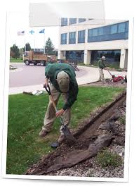 Edging Install Basics Lawn Edging