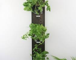 Wall Hanging Herb Garden With Rustic