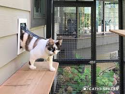 Cat Door For Your Catio By Catio Spaces