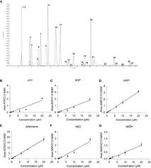 A Liquid Chromatography Tandem Mass