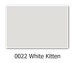 Hirshfields 0022 White Kitten