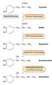 Pre Lecture Chapter 7 General Chemistry