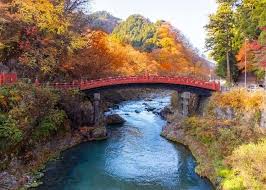 7 Autumn Day Trips From Tokyo Enjoy