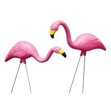 Bloem Pink Flamingo 2 Pack G2 The