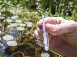 Ph Of Pond Water Why Do Experts Keep