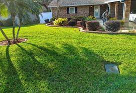Right Grass Type For Your Lakeland Lawn