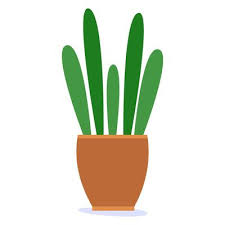 Potted Plant Vector Art Icons And