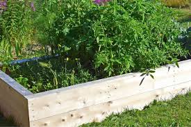 How To Build A Raised Garden Bed