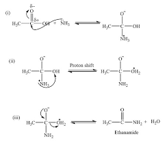 Ethanoic Acid React With Ammonia Nh3