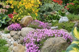 How To Build A Rock Garden Platt Hill