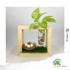 Natural Rectangular Glass Planter For