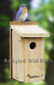 Audubon Bird House At Backyard Wild Birds
