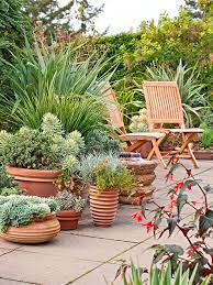 Potted Plants Patio Garden Containers