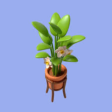 Plant Pots Garden Cartoon Psd High