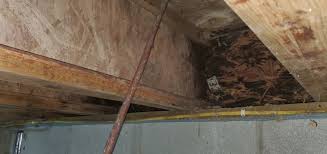 Install I Joists In A Crawl Space