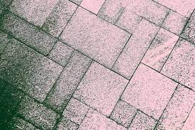 Get Rid Of Black Mold On Brick Pavers