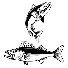 Premium Vector Walleye Fish Sign On