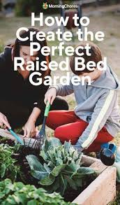 How To Create The Perfect Raised Bed Garden