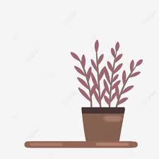 Wall Plants Png Image Sweet Plant On