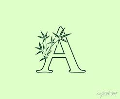 Green A Bamboo Plant Icon Design