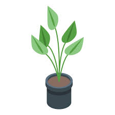 Plant Pot Icon Isometric Vector