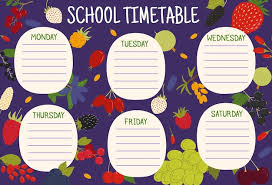 Vector Education Timetable Schedule