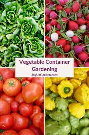 Vegetable Container Gardening Grow