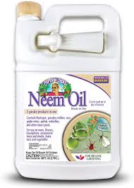 Neem Oil Gardening Life 365