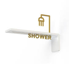 Projecting Toilet Door Icon Signs Signbox