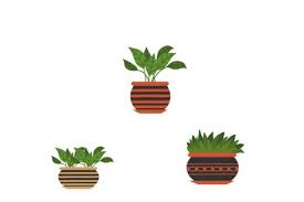 Ornamental Plants For The Table Icon