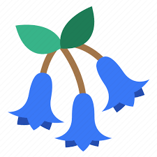 Blossom Bluebells Flora Flower