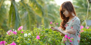 Flowering Trees Of India Top 10