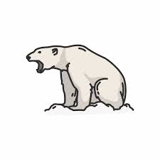 Animals Bear Mammals Polar Bear