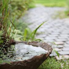 A Beginner S Guide To A Moon Garden
