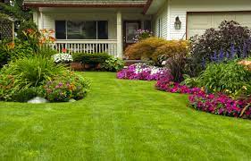 Spring Landscaping Ideas For The