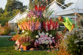 Wisley Flower Show At Rhs Garden Wisley