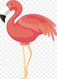 Red Flamingo Png Images Pngwing