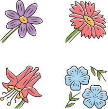 Wild Flowers Icon Png Images Vectors