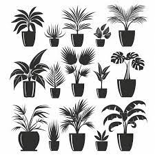 Palm Pot Plant Icon Set Palm Plant