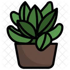 2 404 Succulent Icons Free In Svg