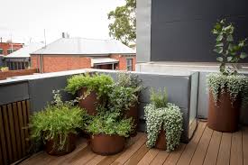 Small Spaces Gardening The