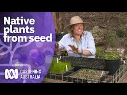 Grow Australian Native Plants From Seed