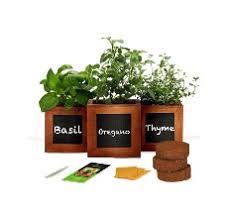 The Nicest Indoor Herb Garden Kits In