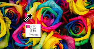 The Eyedropper Tools In Coreldraw