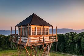 T Mountain Fire Tower Dunmore
