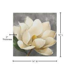 Trademark Fine Art Magnolia Blossom On Gray Canvas Art By Albena Hristova