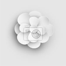White Isolated 3d Flower Template