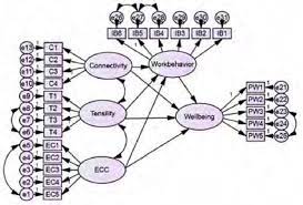 Structural Equation Modeling Amos