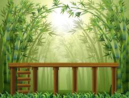 Empty Bamboo Forest Background